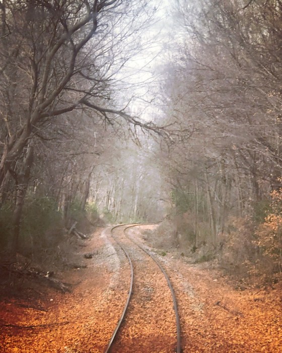 Trick or Treat in Noblesville, IN Nickel Plate Express