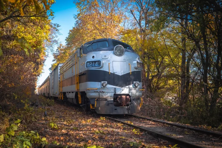 a train traveling down train tracks near a forest