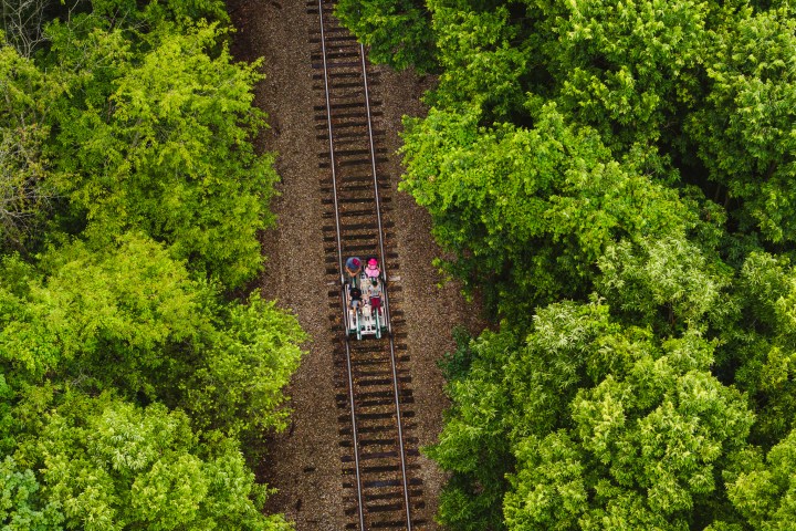 a train traveling down train tracks next to a tree