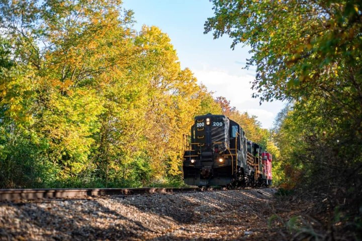 a train traveling down train tracks near a forest
