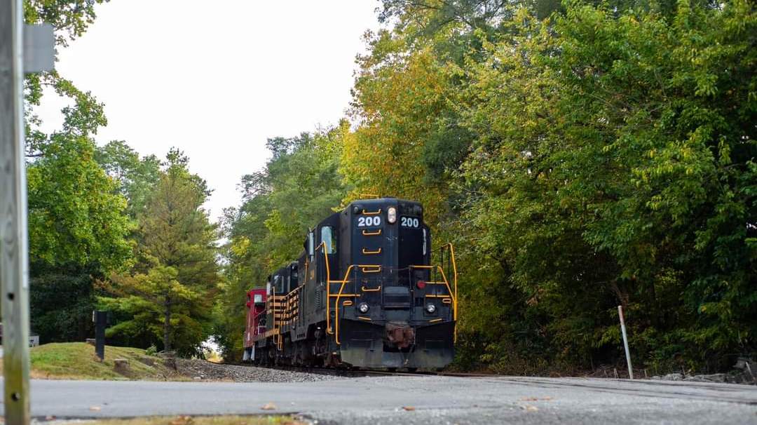 FB_IMG_1727727927965 a train traveling down tracks next to a tree