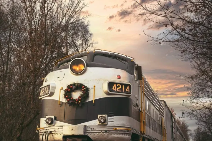 a train traveling down train tracks near a forest