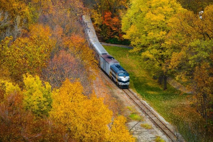 Train traveling through colorful autumn forest with vibrant yellow and orange trees.