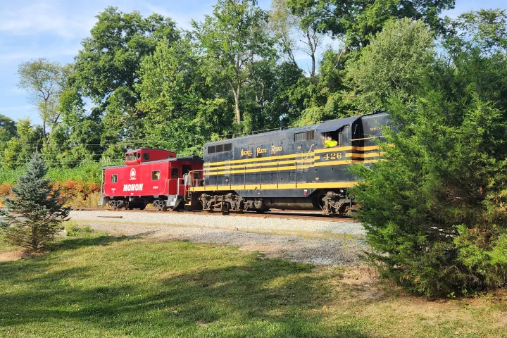 Red and black train on tracks surrounded by trees.