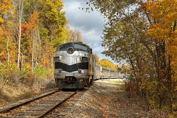 Train traveling through autumn trees on a sunny day.